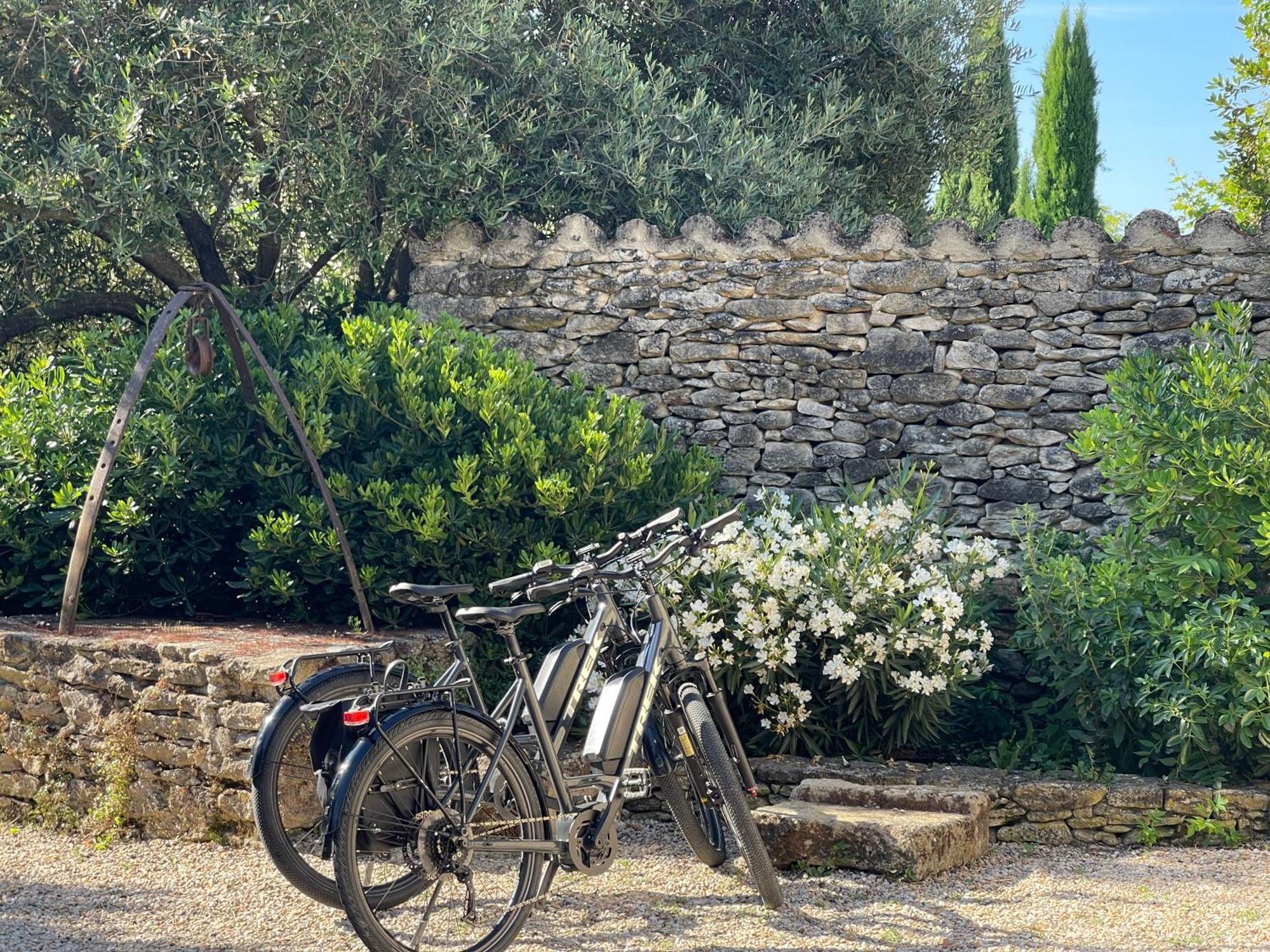 La Villa Baronnette Cabrières-dʼAvignon Buitenkant foto